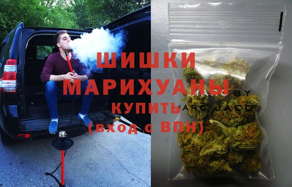 ГАЛЛЮЦИНОГЕННЫЕ ГРИБЫ Белоозёрский