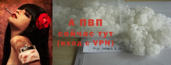 jwh Белокуриха