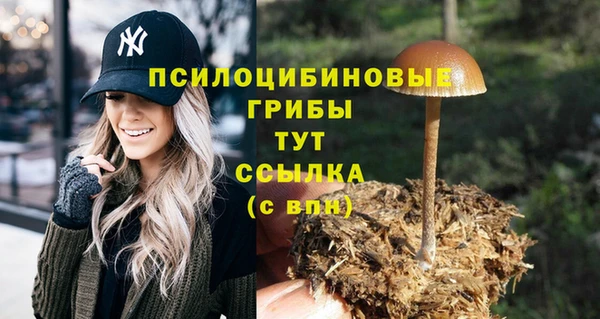 jwh Белокуриха