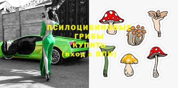 ГАЛЛЮЦИНОГЕННЫЕ ГРИБЫ Белоозёрский