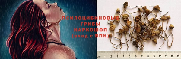 ГАЛЛЮЦИНОГЕННЫЕ ГРИБЫ Белоозёрский