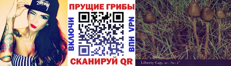 Псилоцибиновые грибы Magic Shrooms  KRAKEN вход  Реж 