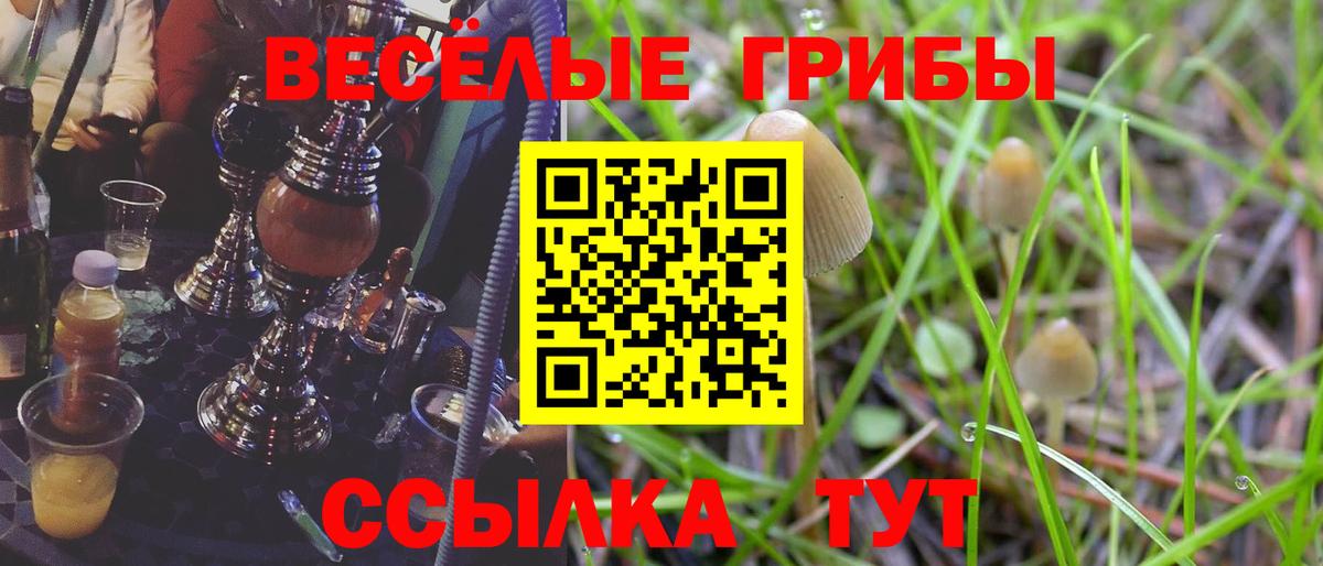 Галлюциногенные грибы Magic Shrooms  Вход с VPN  Реж  Псилоцибиновые грибы Psilocybe 